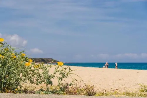 Le Lido