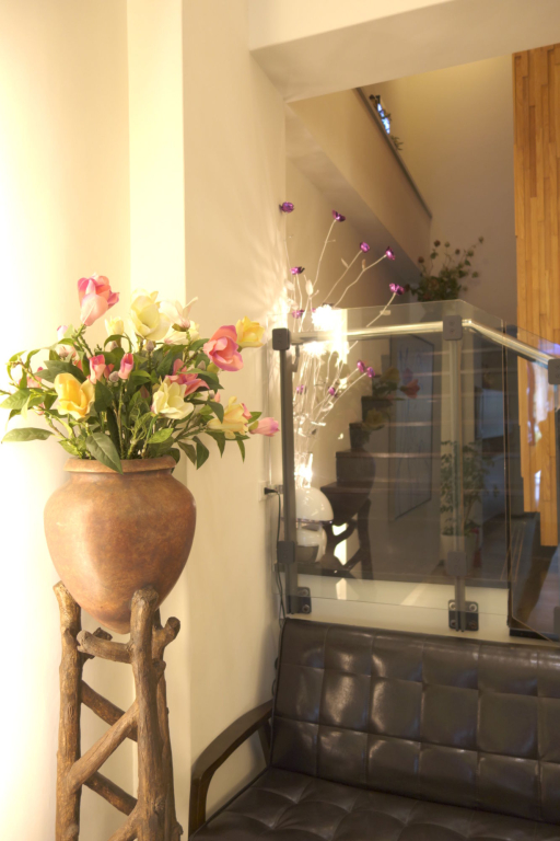 Skylight bnb