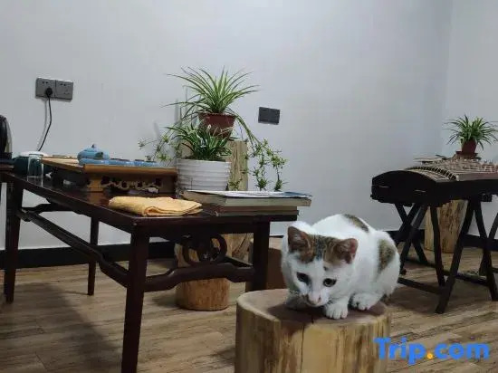 Wuyuan Mountain Water Boxing Homestay