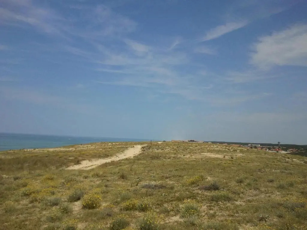 La Pinède Océane,400m des plages