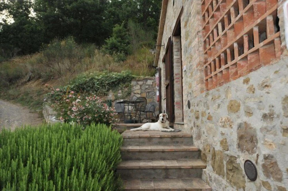 Podere Monte Petreto