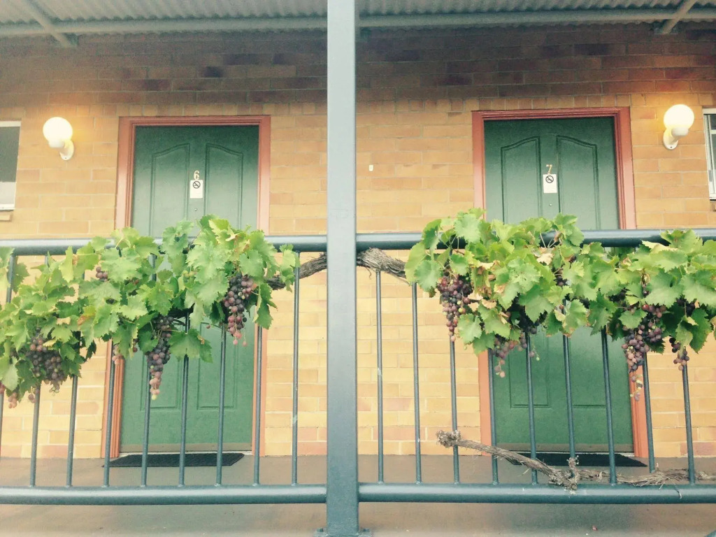 The Vines Motel & Cottages
