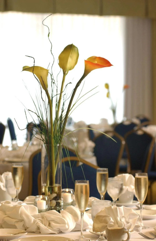 DoubleTree by Hilton Greensboro