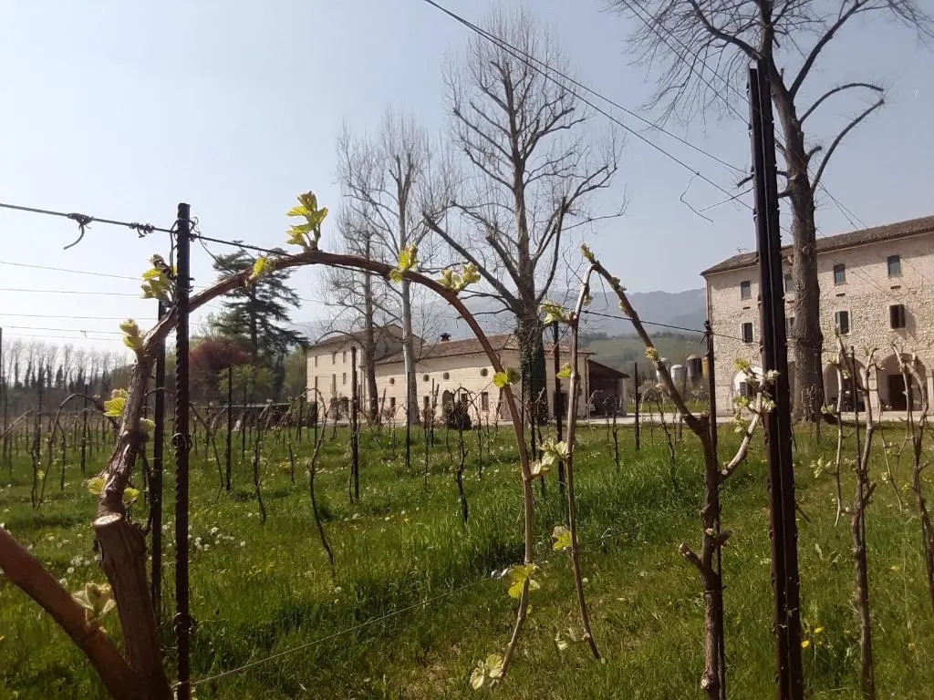 Agriturismo La Bella