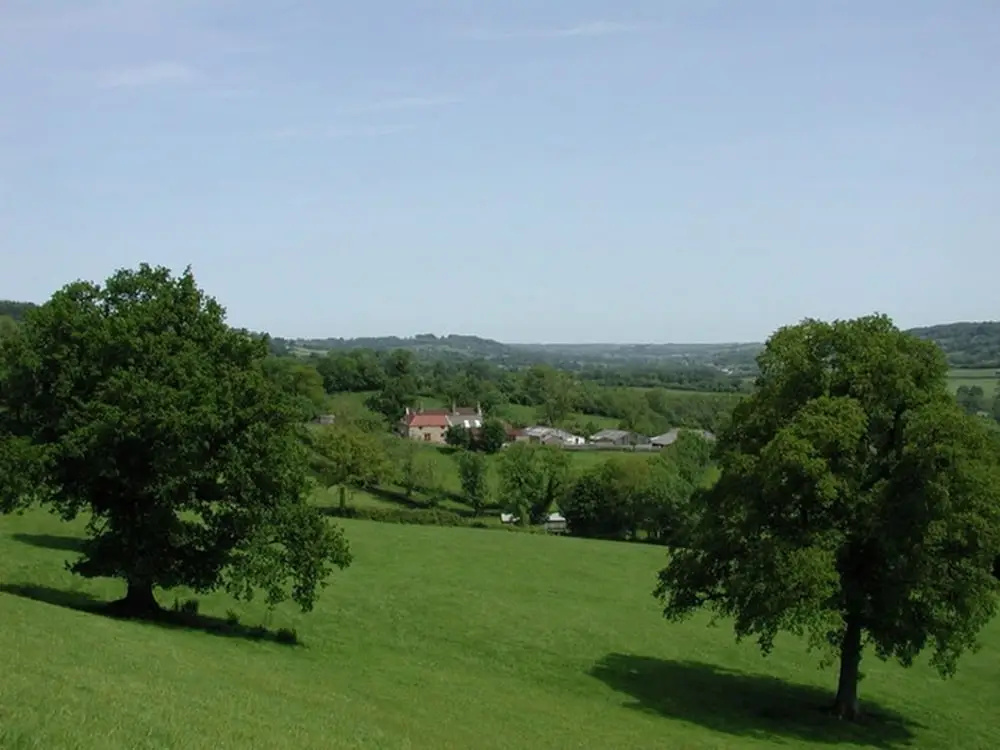 Whitcombe Cottage