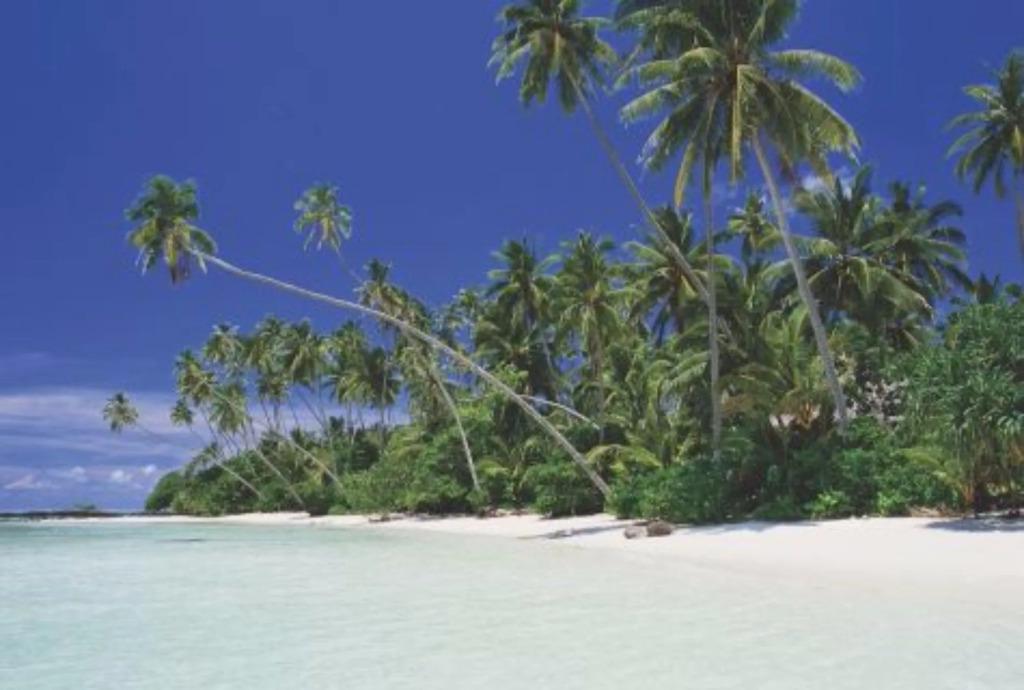 Taumeasina Island Resort