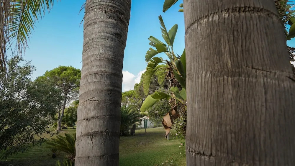 Villa Chiara: Luxury Retreat Steps from the Beach