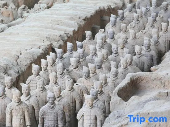 Mehood Hotel (Xi'an Lintong Terracotta Army Hua Qing Palace)