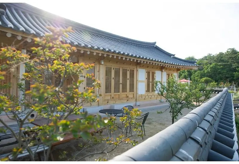 Daebudo jongii misulgwan pension