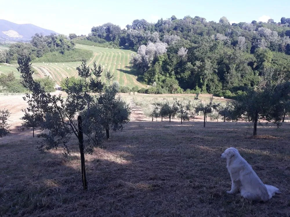 Agriturismo Valle DAmbrosia