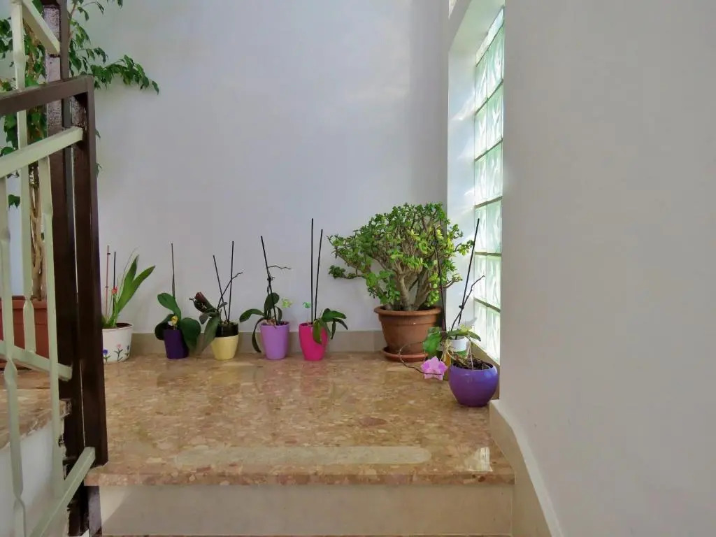 Apartments Nemira