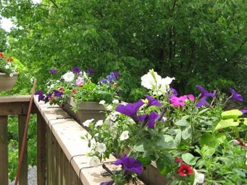 Braeside Court Bed & Breakfast