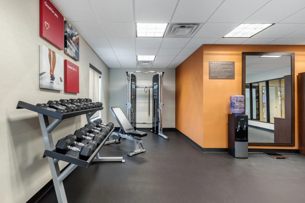Comfort Inn & Suites Schenectady - Scotia
