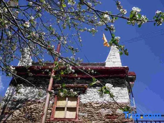 shanjian•huayu coffee Hostel