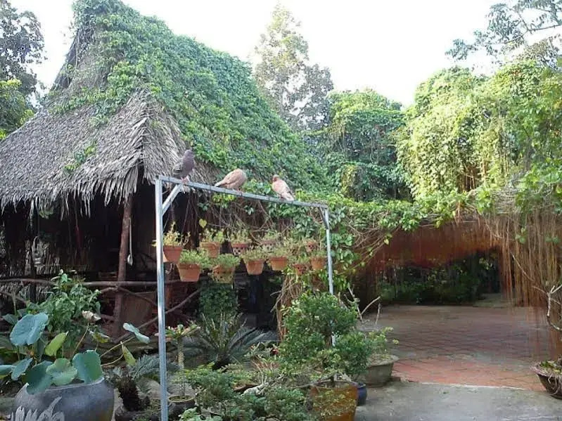 Cai Son Orchard Home Stay
