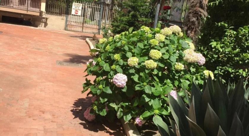 B&B Antea