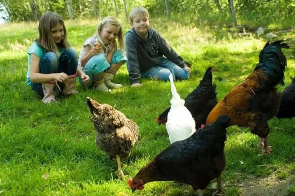 Kinderparadies Habernberger Hof