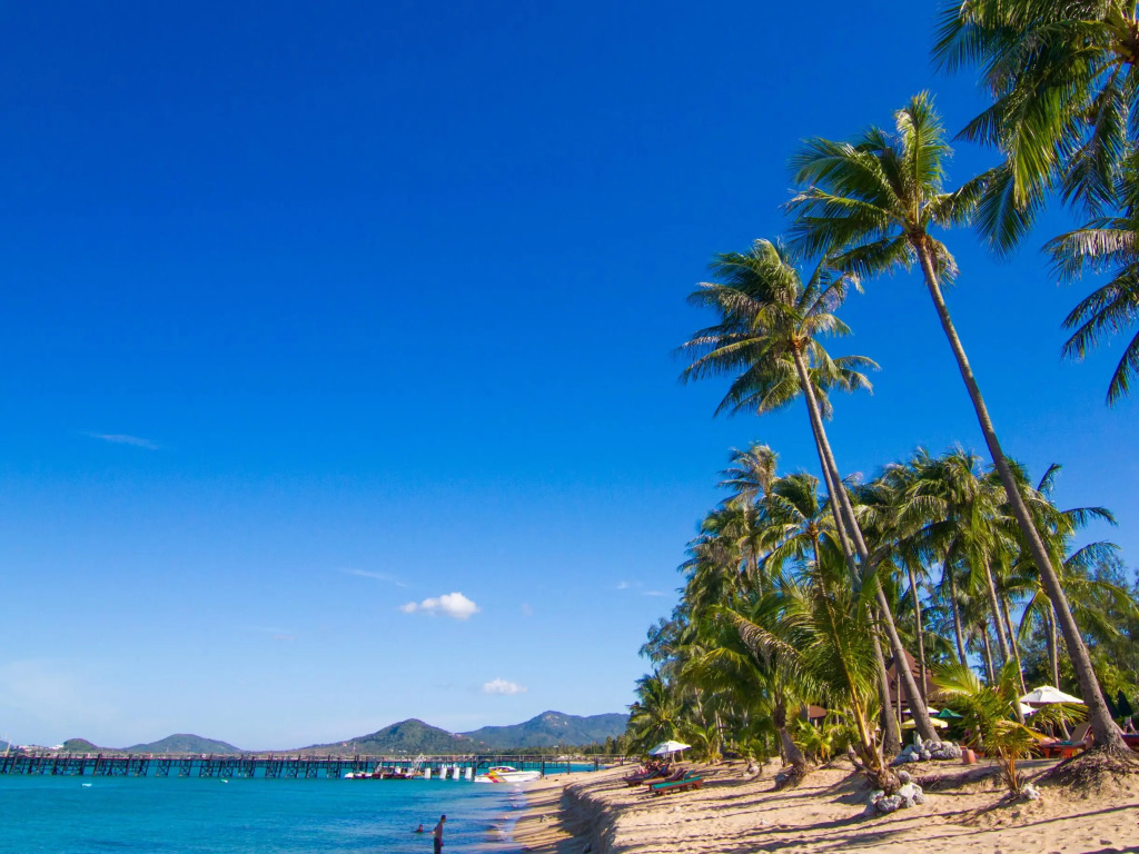 Coco Palm Beach Resort - SHA Extra Plus