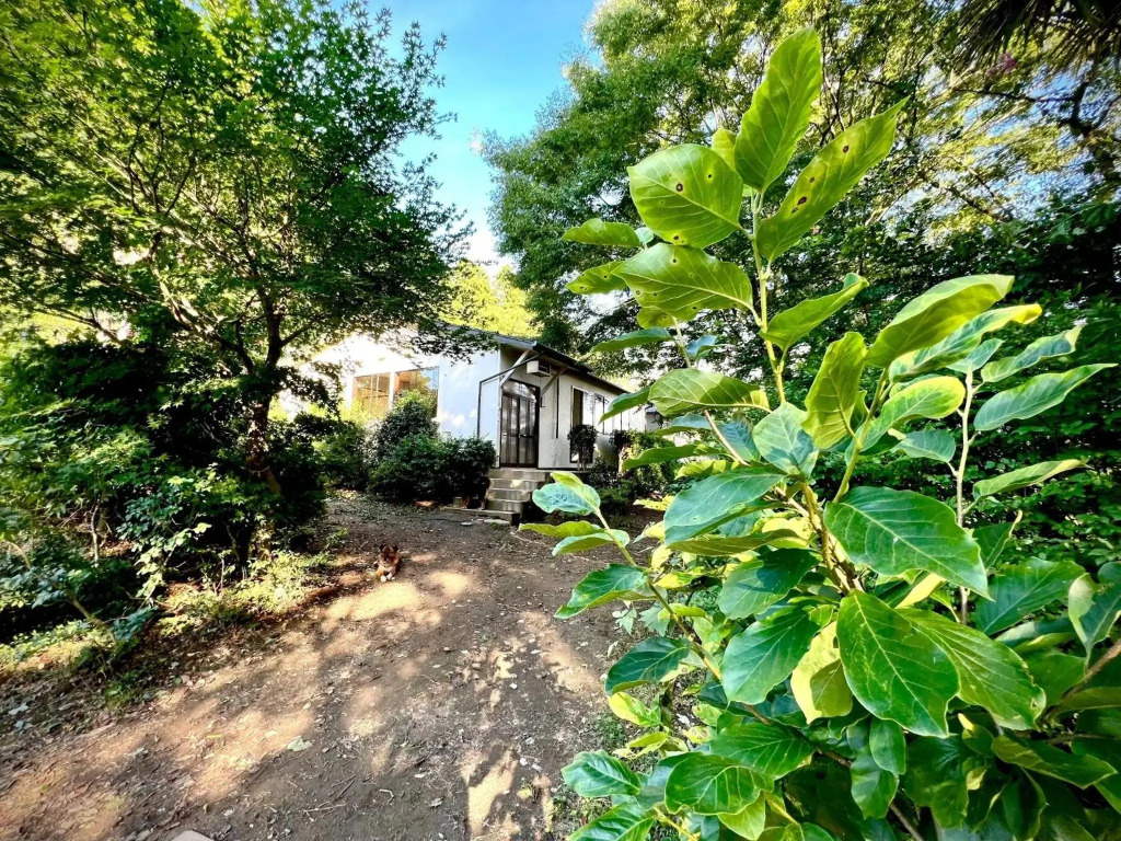 Kiyo's Gokokuen "Tatsumado" - Vacation STAY 26825v