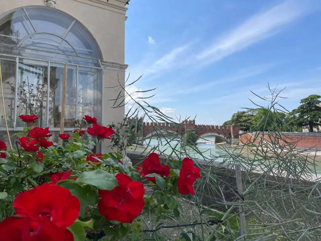 Cavour44 - Palazzo Canossa
