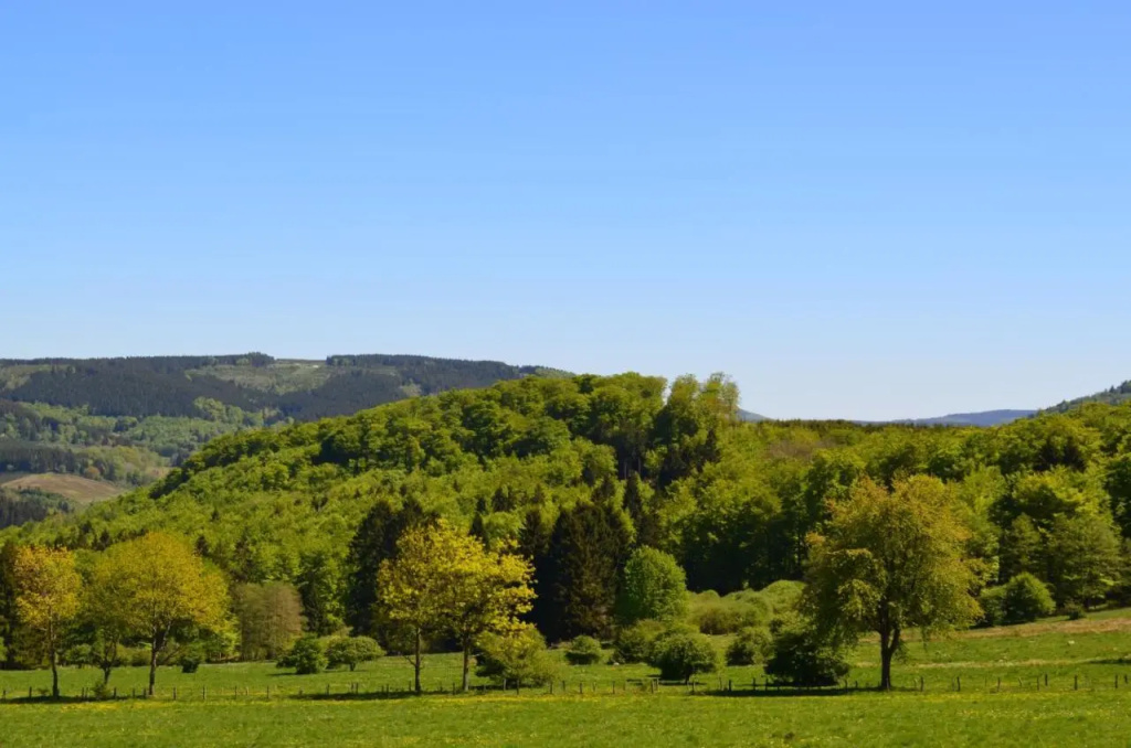 Ferienwohnungen Ambiente-Schmidt