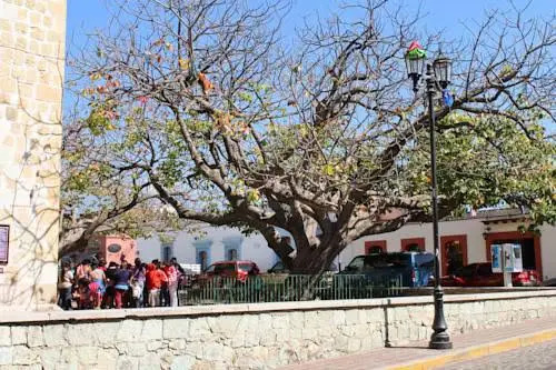 Casa de Ana y Eloy