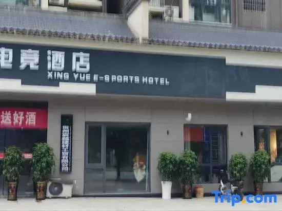 Miho Hoshi esports Hotel