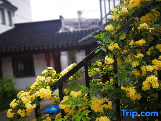 Suzhou Free and Easy Mountain Retreat Homestay