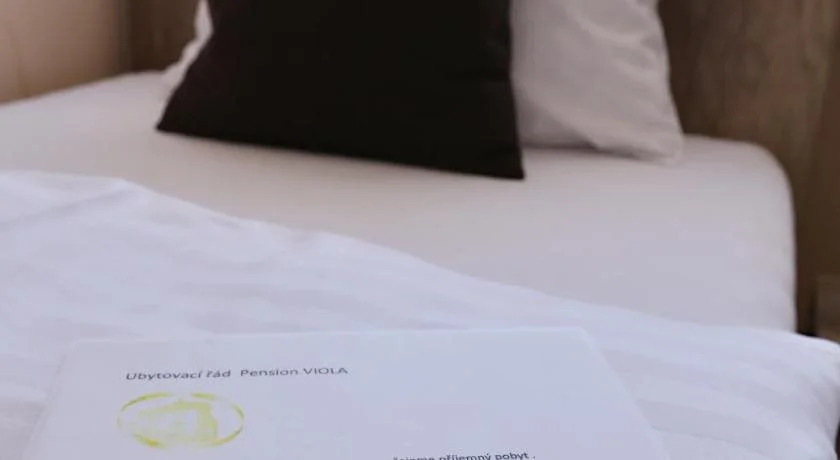 Pension Viola