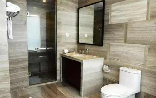 Viola Hotel Express