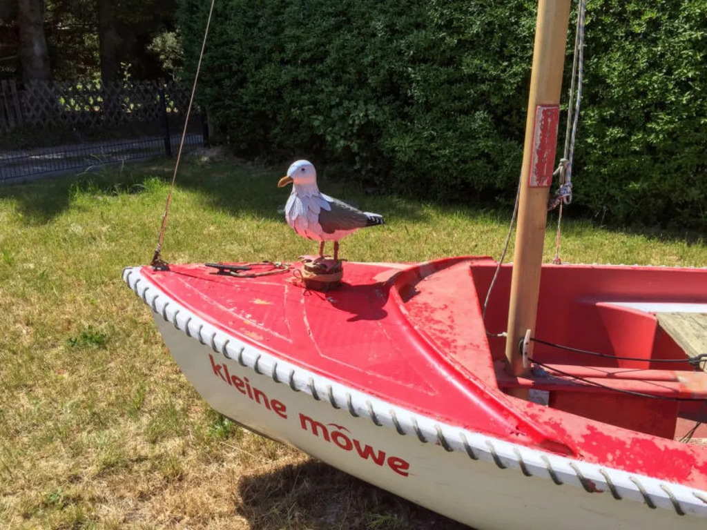 Kleine Möwe 19472