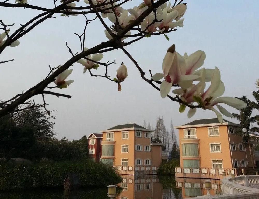 Tianlun International Hotel - Chengdu