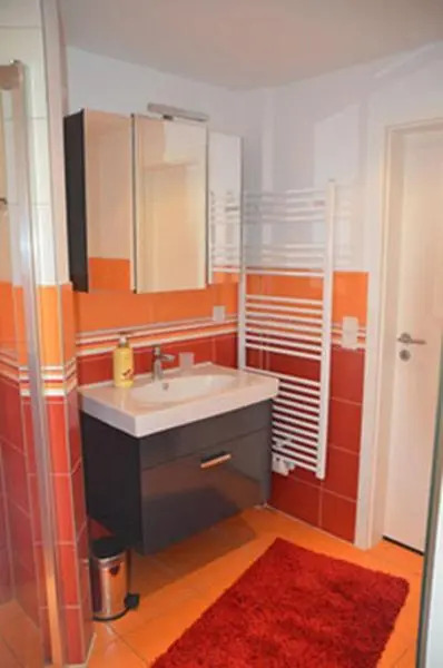 Schilfdachvilla Zeesboothaus WE308