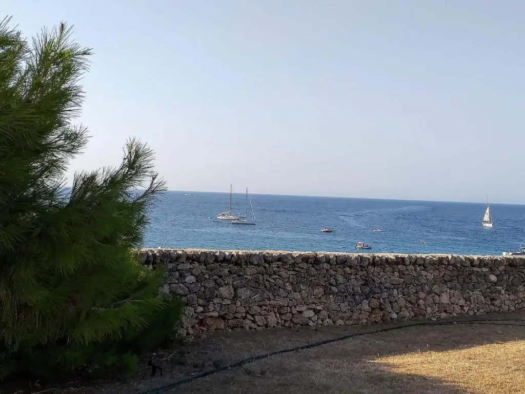 Trullammare
