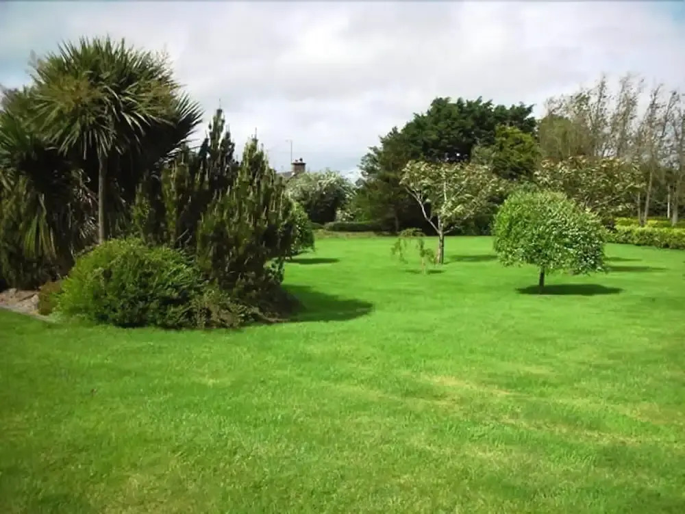 Beechgrove