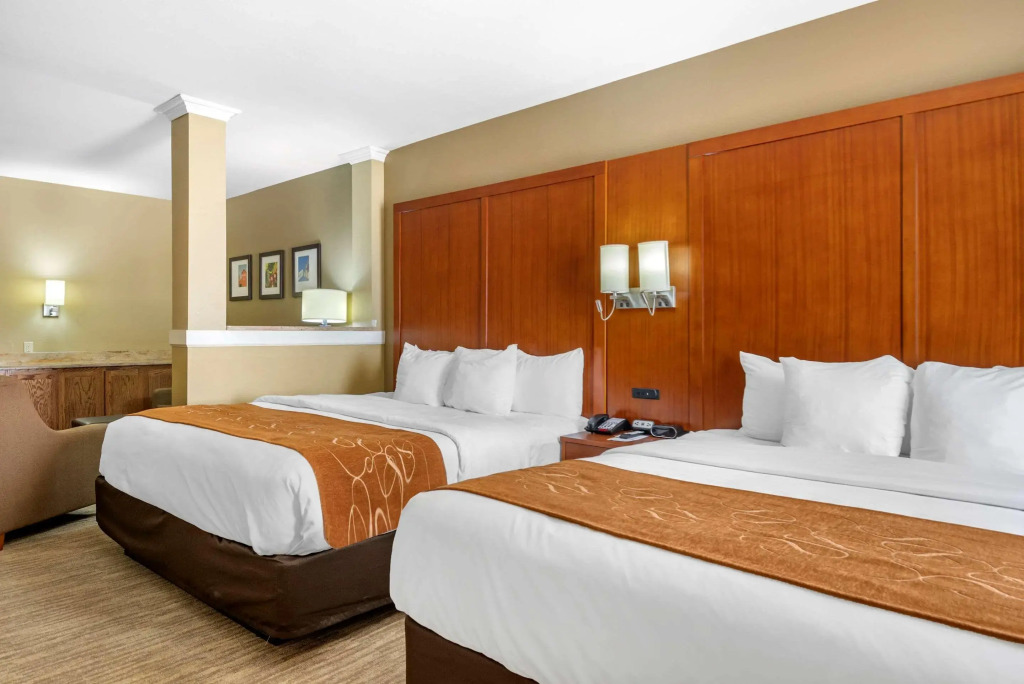 Comfort Suites - University