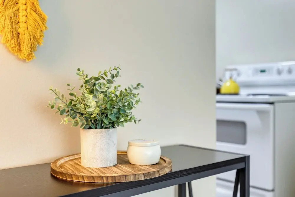 Seattle Scandi-boho Gem: Walk to Waterfront!