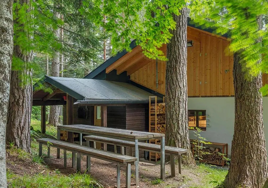 DAS HAUS IM WALD