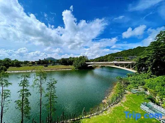 Shenzhen oct east whole european-style villa