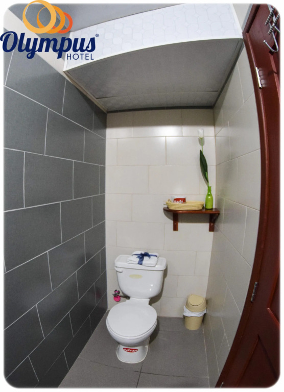 Hotel Olympus