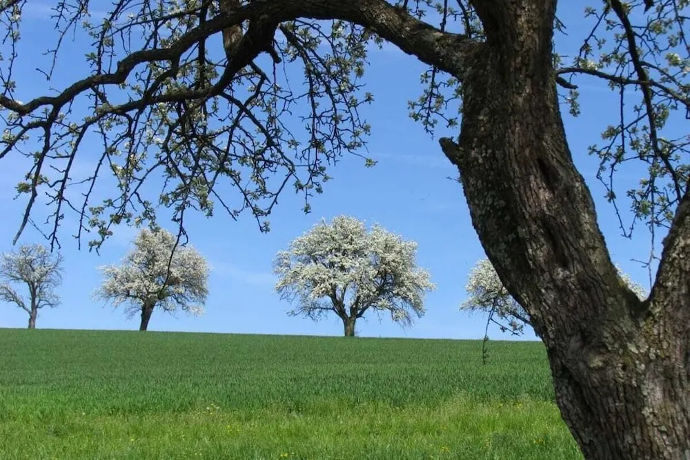 Naturparkbauernhof Pöltl