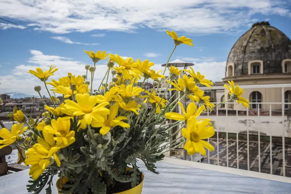 Naples Tours and Flats S.r.l.