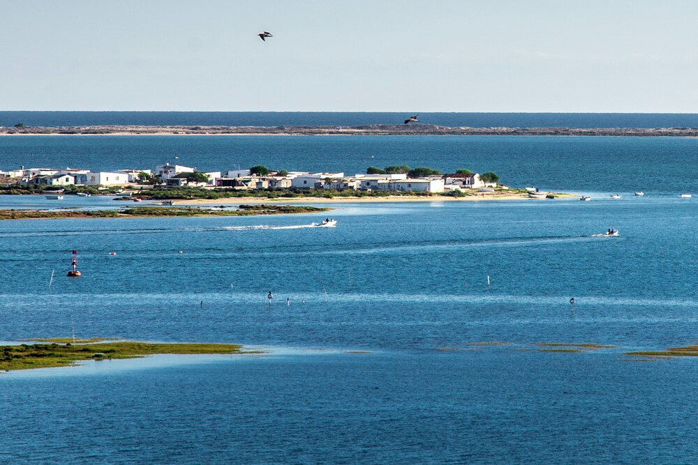 Village Marina