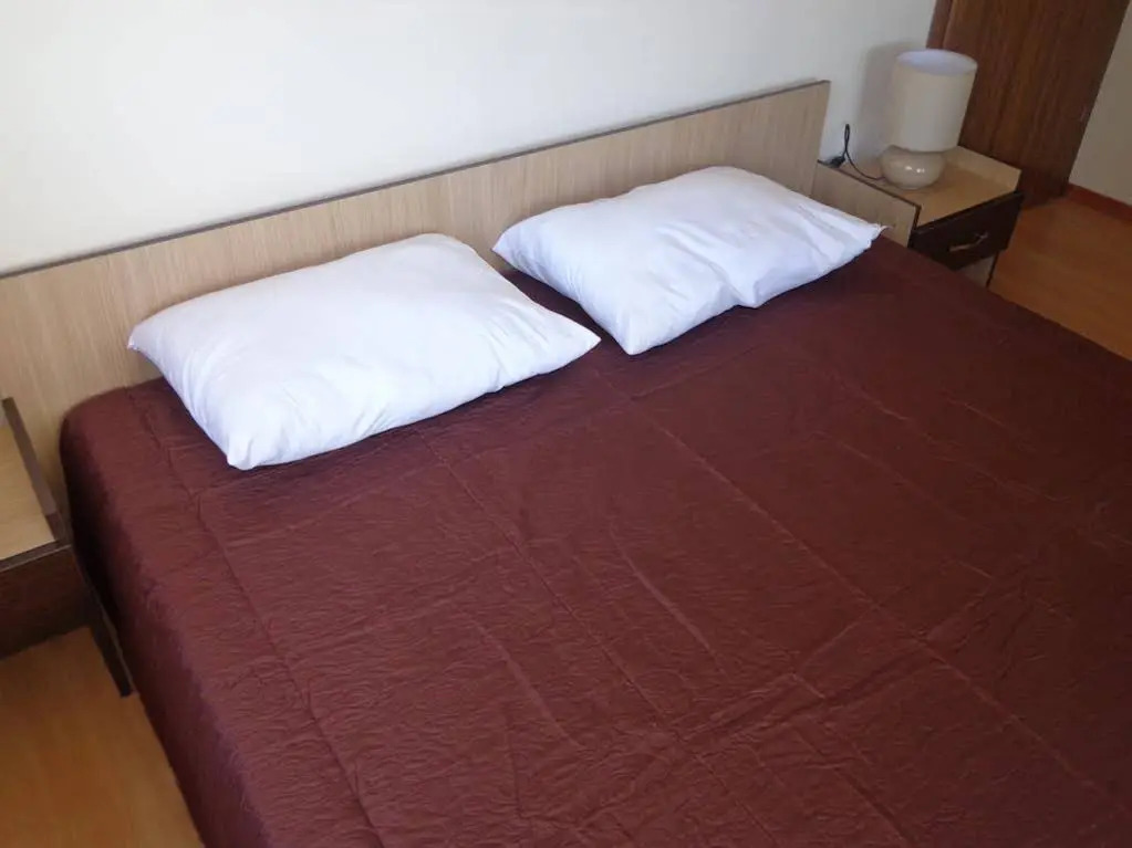 Snowy Dreams Pamporovo Apartments
