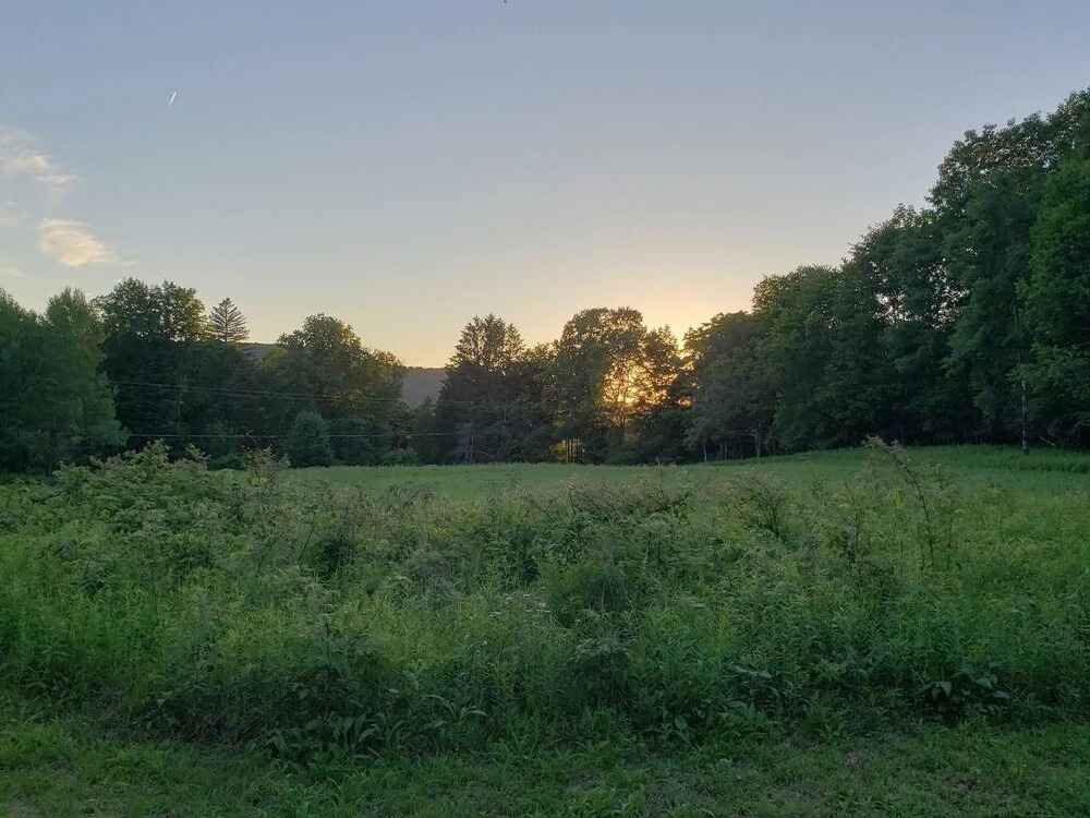 Tentrr - Brewery Place Meadow