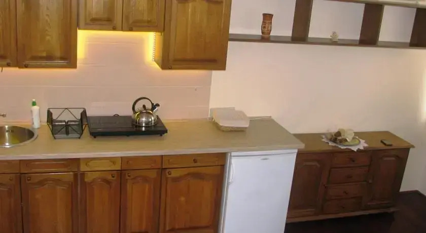Apartament Kasztanowy Centrum