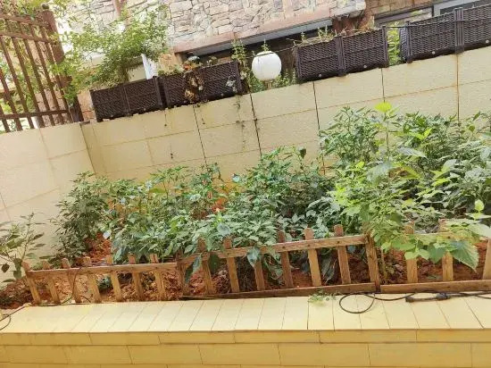 Lotus Valley Homestay