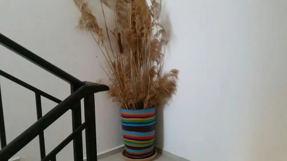 Inviting 1-bed Apartment in Aleksandrovo