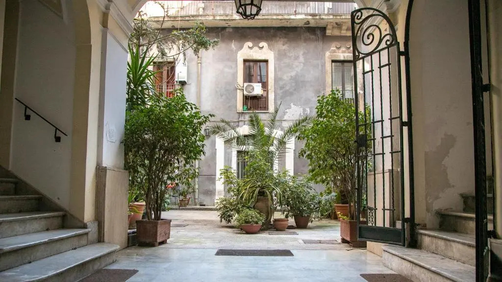 The House