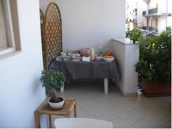 B&B Paluada